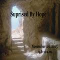 Surprised By Hope